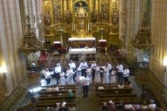 viana1