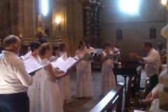 viana2